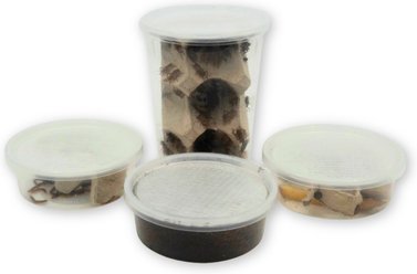 Fluker's 2 Week Juvenile Bearded Dragons & Lizard Meal Plan, bundle