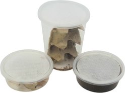 Fluker's 2 Week Baby Bearded Dragons & Lizard Meal Plan, bundle