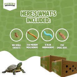 Fluker's 2 Week Baby Aquatic Turtles Meal Plan, bundle slide 2 of 6