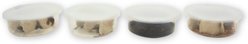 Fluker's 2 Week Subadult Crested Geckos Meal Plan, bundle