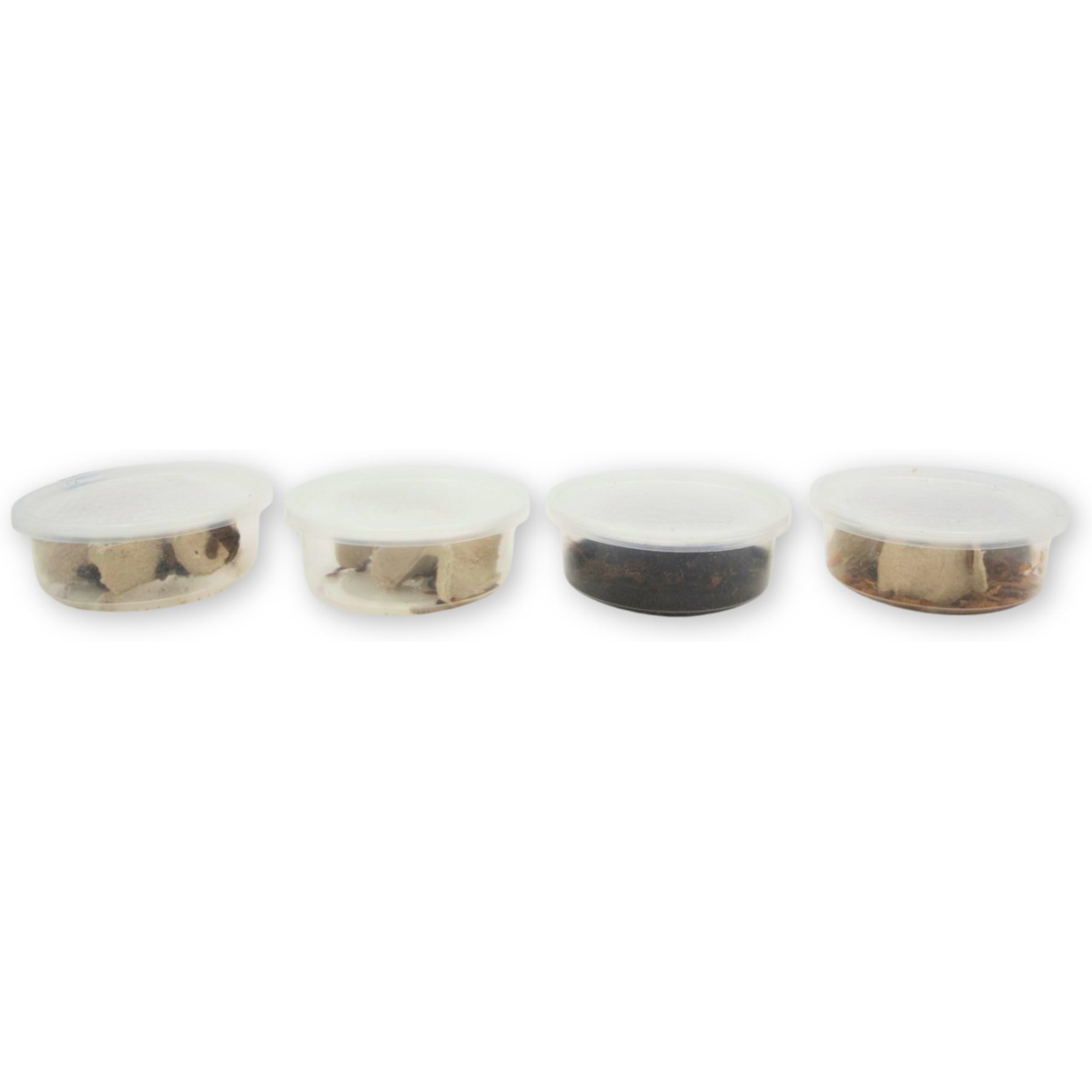 Fluker's 2 Week Subadult Crested Geckos Meal Plan, bundle