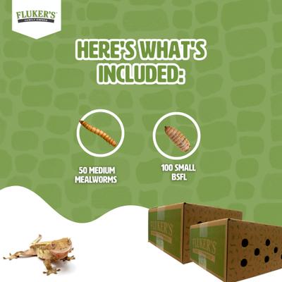 Show full view: Fluker's 2 Week Baby Crested Geckos Meal Plan, bundle slide 4 of 6