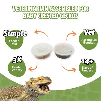 Show full view: Fluker's 2 Week Baby Crested Geckos Meal Plan, bundle slide 3 of 6