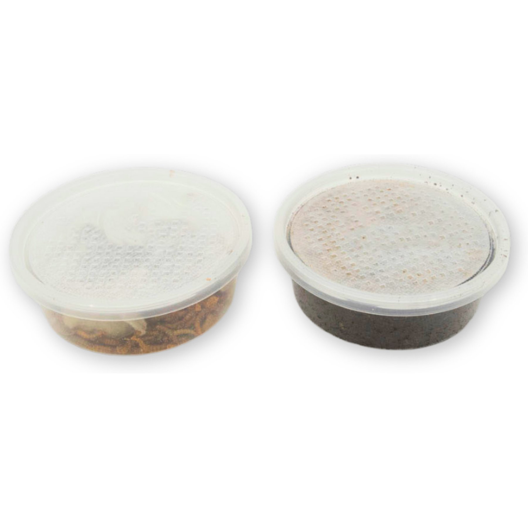 Fluker's 2 Week Baby Crested Geckos Meal Plan, bundle
