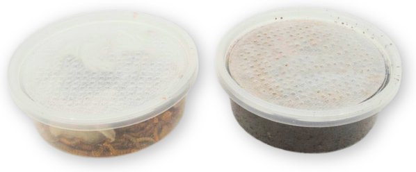 Fluker's 2 Week Baby Crested Geckos Meal Plan, bundle
