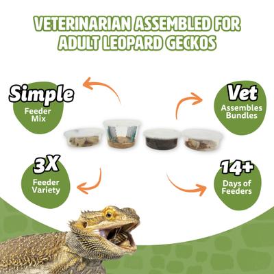 Show full view: Fluker's 2 Week Adult Leopard Geckos Meal Plan, bundle slide 3 of 6
