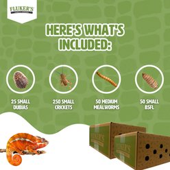 Fluker's 2 Week Baby Panther Chameleons Meal Plan, bundle slide 2 of 6
