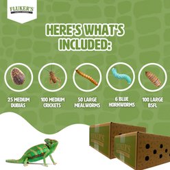 Fluker's 2 Week Subadult Chameleons Meal Plan, bundle slide 2 of 6