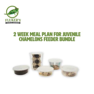Show full view: Fluker's 2 Week Juvenile Chameleons Meal Plan, bundle slide 2 of 6