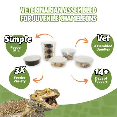 Show full view: Fluker's 2 Week Juvenile Chameleons Meal Plan, bundle slide 3 of 6