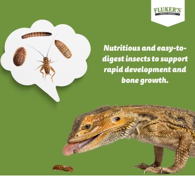 Show full view: Fluker's 2 Week Mature Adult Bearded Dragons & Lizard Meal Plan, bundle slide 6 of 6