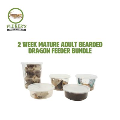 Show full view: Fluker's 2 Week Mature Adult Bearded Dragons & Lizard Meal Plan, bundle slide 2 of 6