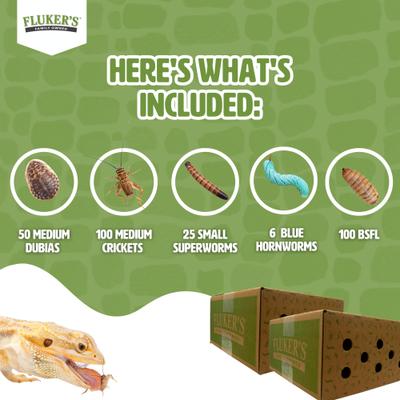 Show full view: Fluker's 2 Week Subadult Bearded Dragons & Lizard Meal Plan, bundle slide 4 of 6
