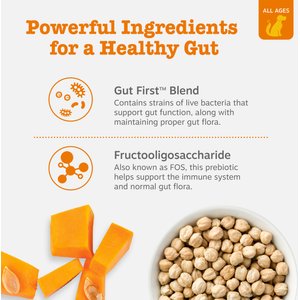 Zesty Paws Probiotic Bites Pumpkin Flavored Soft Chews Gut Flora & Digestive Supplement for Dogs, 90 count