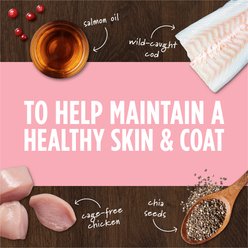 Instinct Raw Boost Mixers Skin & Coat Health Recipe Grain-Free Freeze-Dried Dog Food Topper, 5.5-oz bag slide 2 of 8