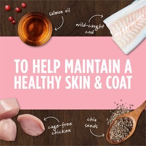 Instinct Raw Boost Mixers Skin & Coat Health Recipe Grain-Free Freeze-Dried Dog Food Topper, 5.5-oz bag