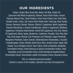 Instinct Raw Boost Whole Grain Gut Health Recipe with Real Chicken Dry Dog Food, 18-lb bag slide 2 of 8