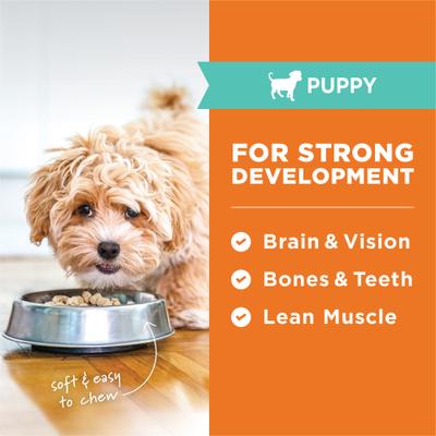 Show full view: Instinct Raw Meals Cage-Free Chicken Recipe Grain-Free Puppy Freeze-Dried Dog Food, 14-oz bag slide 6 of 10