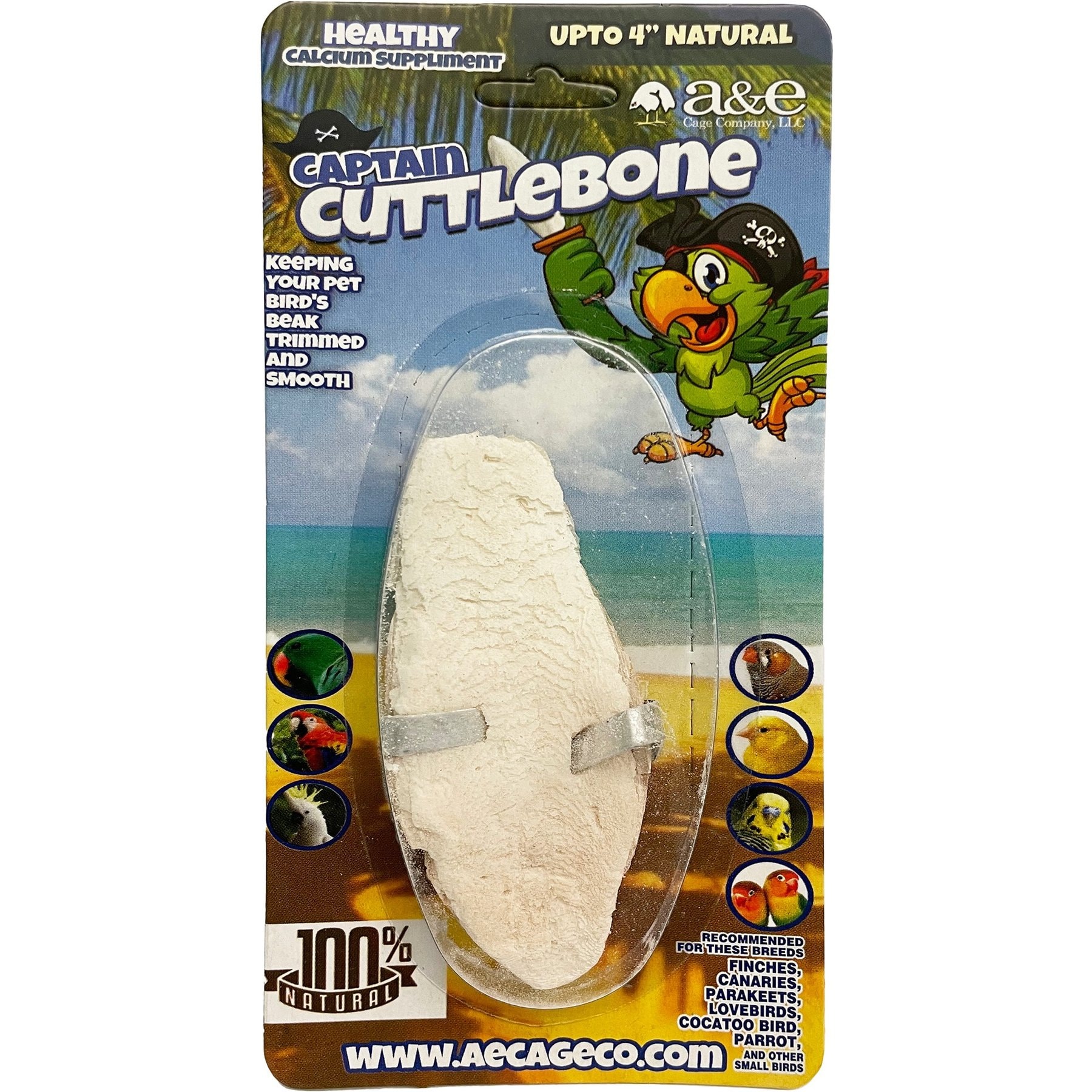 A&E Cage Company 4-in Natural Cuttlebone Bird Treats Single Blister Pack