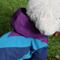 Show in main carousel: pupp st. Domino Windbreaker Dog Raincoat, Purple, X-Large slide 5 of 6