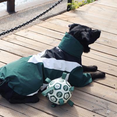 Show full view: pupp st. Domino Windbreaker Dog Raincoat, Green, XXX-Large slide 5 of 6