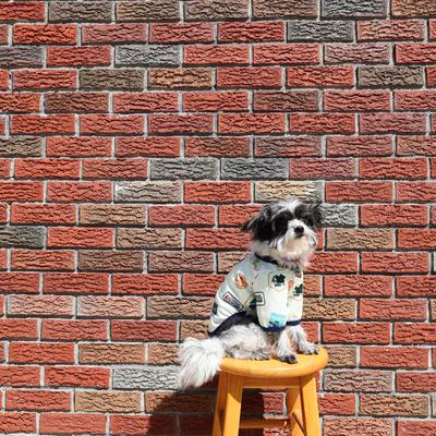 Show full view: pupp st. Ludlow Tee Dog Shirt, print, Small slide 8 of 9