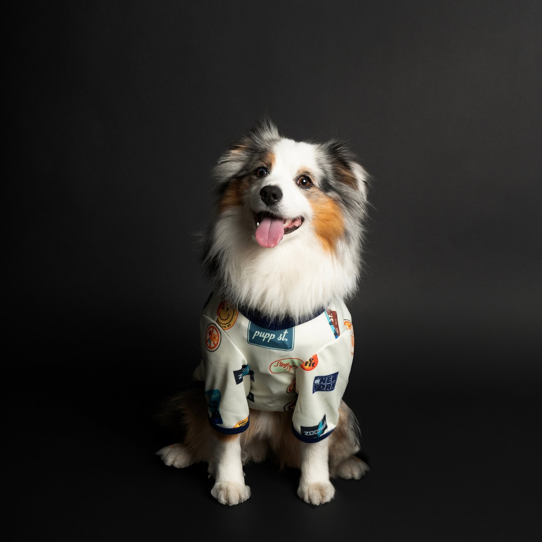 pupp st. Ludlow Tee Dog Shirt, print, Large