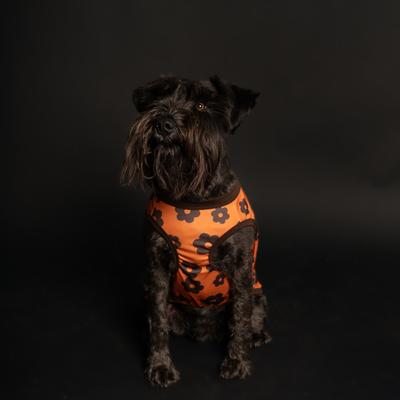 Show full view: pupp st. Allen Tank Dog Shirt, Orange/Brown, X-Large slide 3 of 4