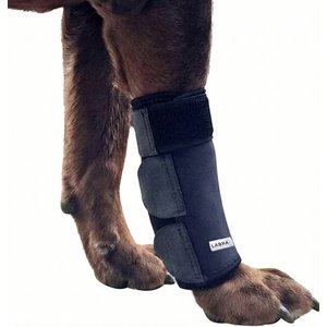 Labra Front Leg Dog Wrap, Large/X-Large