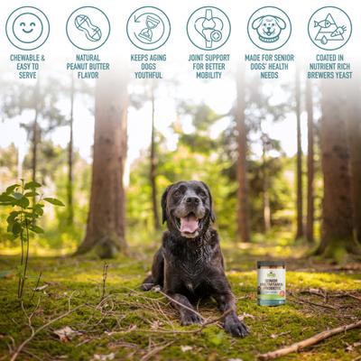 Show full view: Strawfield Pets Peanut Butter Flavored Soft Chew Multivitamin + Probiotic for Senior Dogs, 120 count slide 8 of 10