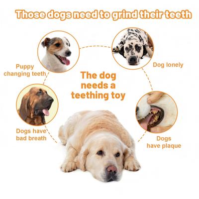 Show full view: Petopia Turtle Shell Interactive Dog Chew Toy, Mixed Green, Medium slide 5 of 11