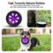 Show in main carousel: Petopia Tire Interactive Dog Chew Toy, Purple/Black, Medium slide 2 of 11