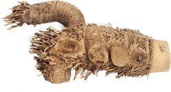 A&E Cage Company Spider Root, Brown, Small