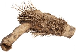 A&E Cage Company Spider Root, Brown, Medium