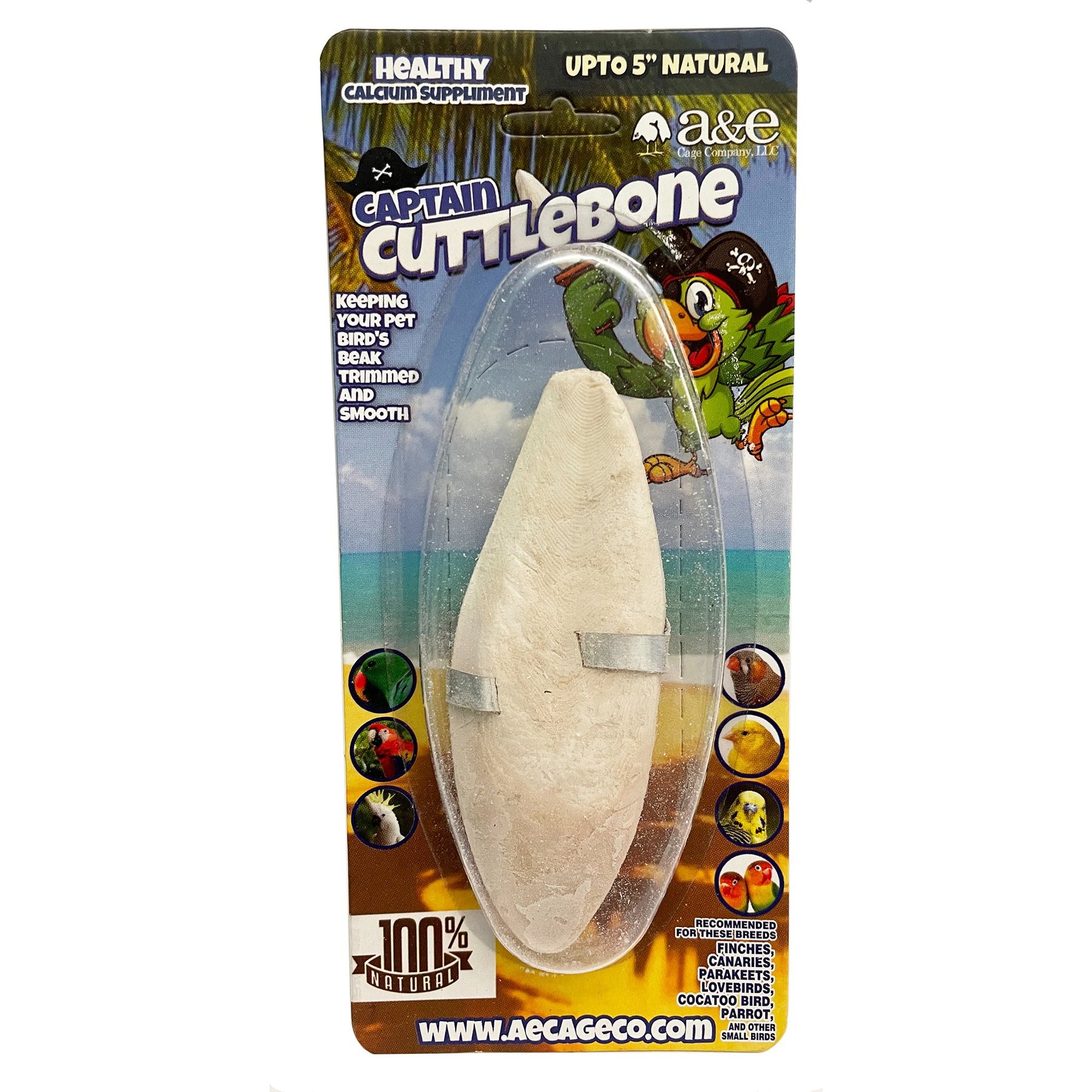 A&E Cage Company 5-in Natural Cuttlenone Bird Treats Single Blister Pack
