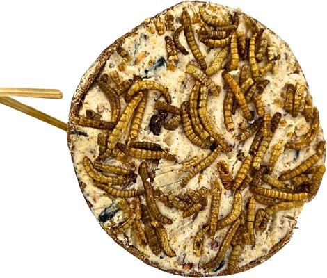 Show full view: Garden Fun by A&E Garden & Fun Coconut Fiber Suet Bell Wild Bird Treats slide 2 of 3