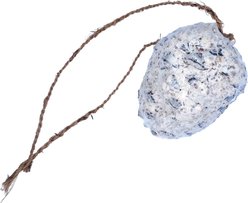 Garden Fun by A&E Suet Pine Cone Wild Bird Treats