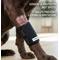 Show in main carousel: Labra Front Leg Dog Wrap, Large/X-Large slide 6 of 9