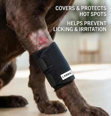 Show full view: Labra Front Leg Dog Wrap, Large/X-Large slide 6 of 9