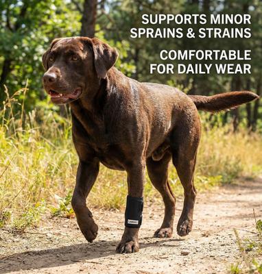 Show full view: Labra Front Leg Dog Wrap, Large/X-Large slide 7 of 9