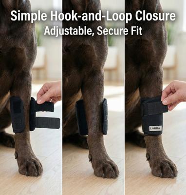 Show full view: Labra Front Leg Dog Wrap, Large/X-Large slide 5 of 9