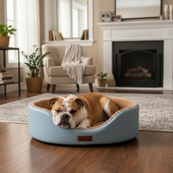 Kylinsure Waterproof Comfort Orthopedic Dog & Cat Sofa Bed with Removable Cover & Ice Pad, Blue, Large