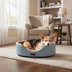 Kylinsure Waterproof Comfort Orthopedic Dog & Cat Sofa Bed with Removable Cover & Ice Pad, Blue, Medium