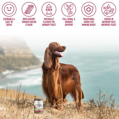 Show full view: Strawfield Pets Cranberry Hickory Bacon Flavored Chews Bladder & UTI Support Supplement for Dogs, 120 count slide 7 of 10