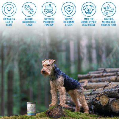 Show full view: Strawfield Pets Prime of Life Peanut Butter Flavored Soft Chew Multivitamin + Probiotic for Dogs, 120 count slide 8 of 10