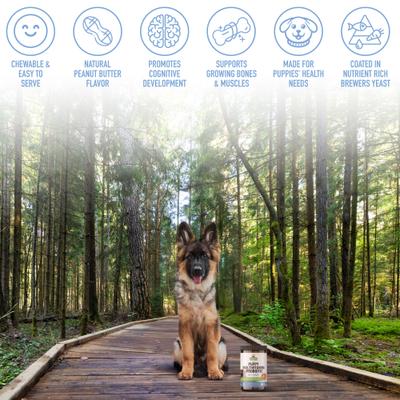 Show full view: Strawfield Pets Peanut Butter Flavored Soft Chew Multivitamin + Probiotic for Puppy & Dogs, 120 count slide 8 of 10