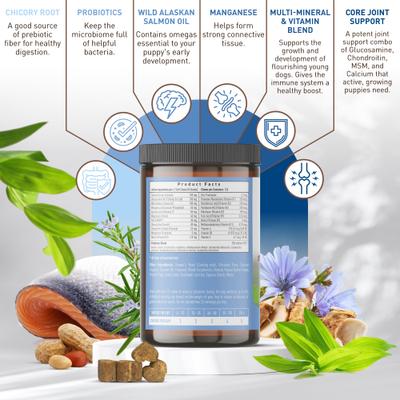 Show full view: Strawfield Pets Peanut Butter Flavored Soft Chew Multivitamin + Probiotic for Puppy & Dogs, 120 count slide 3 of 10