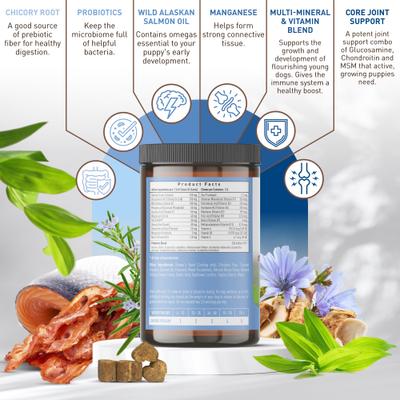 Show full view: Strawfield Pets Hickory Bacon Flavored Soft Chew Multivitamin + Probiotic for Puppy & Dogs, 120 count slide 3 of 10