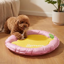 ZEZE Lemon Cooling Dog & Cat Bed slide 2 of 9