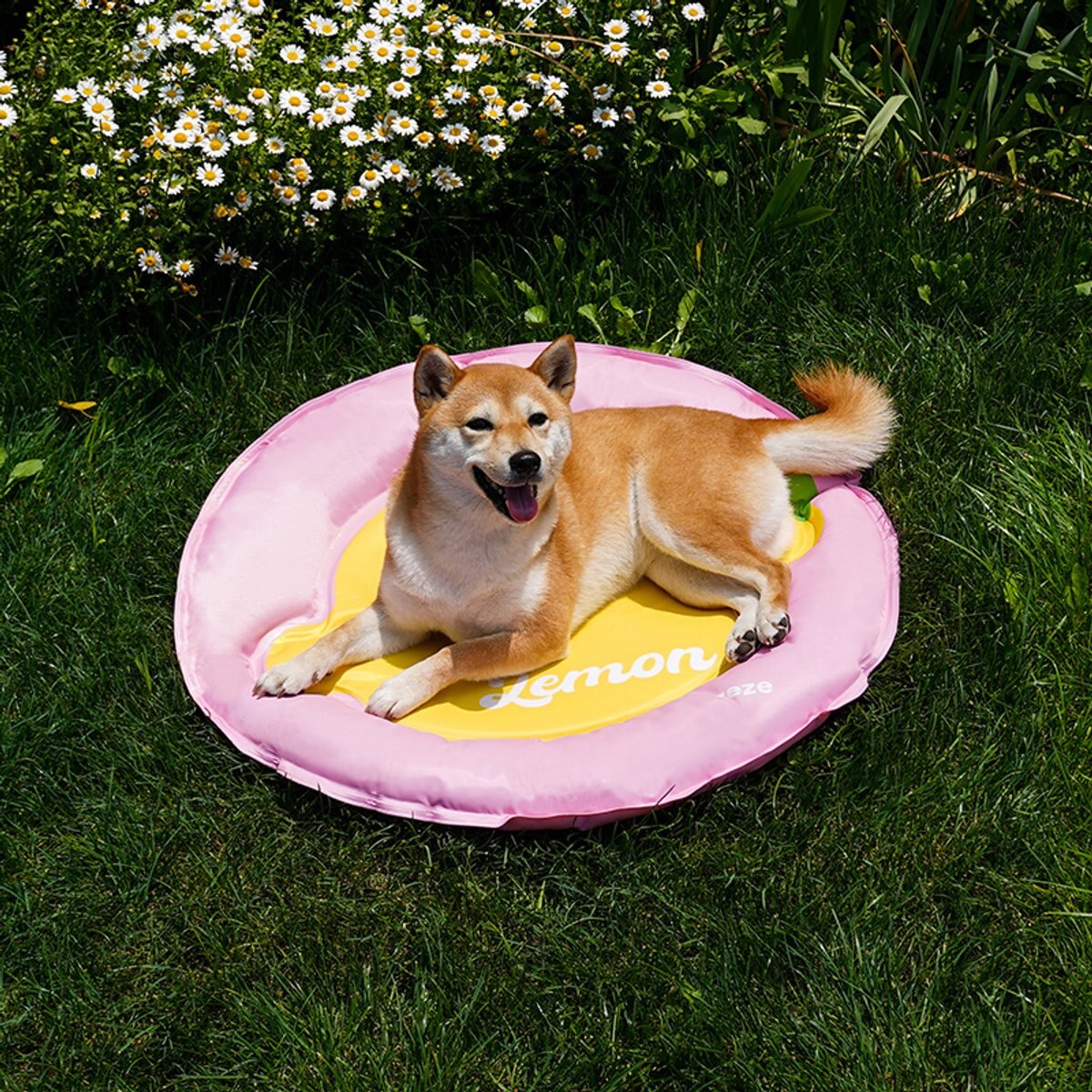 ZEZE Lemon Cooling Dog & Cat Bed